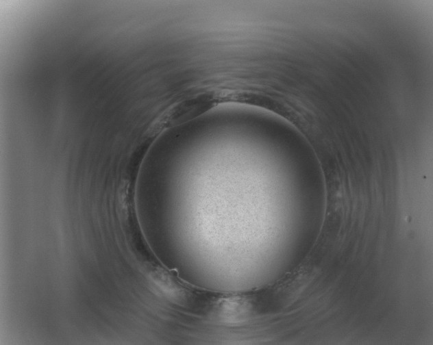 X0000062610275200512230928