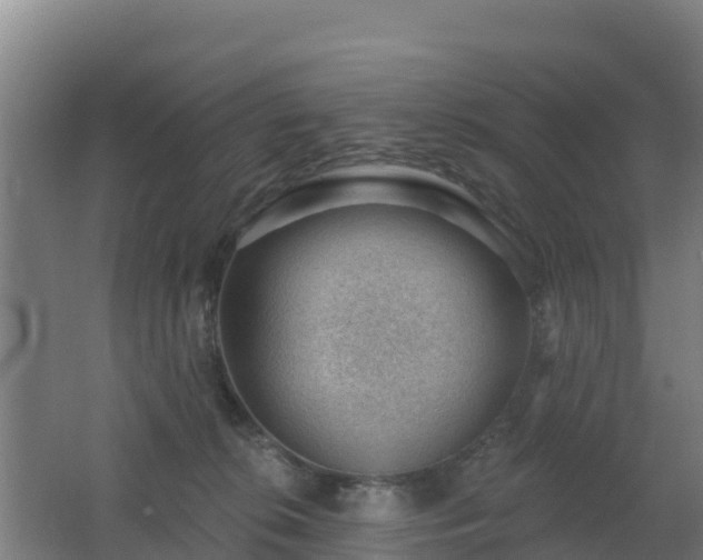 X0000062610276200512230928