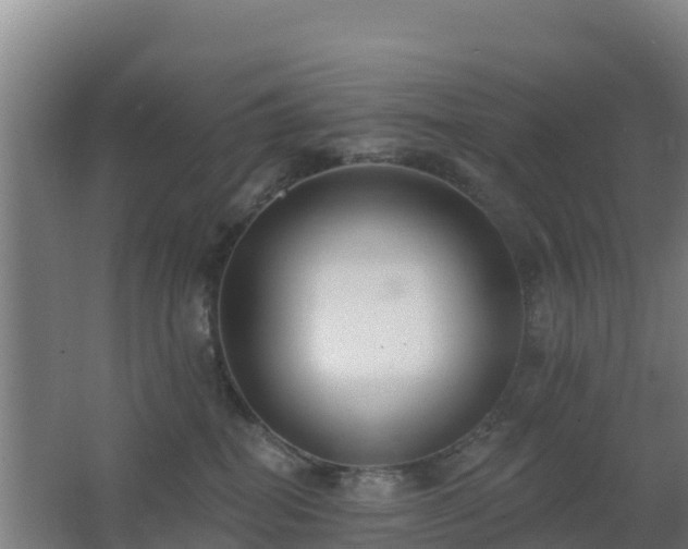 X0000062610282200512230928