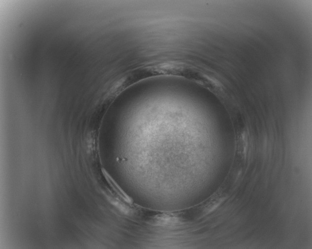 X0000062610284200512230928