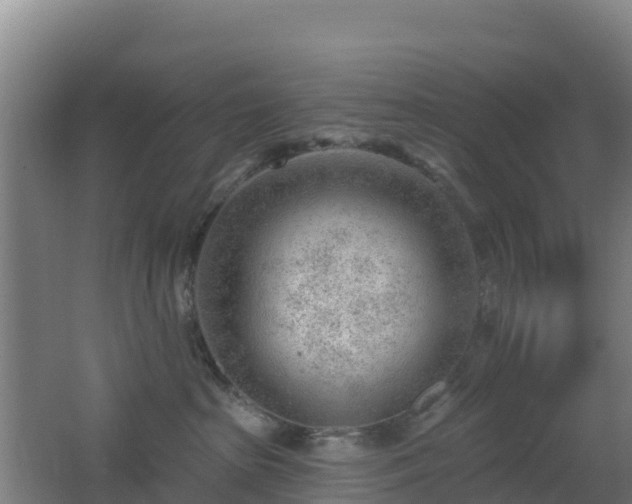 X0000062610285200512230928