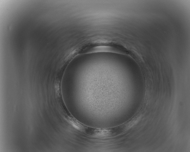 X0000062610288200512230928