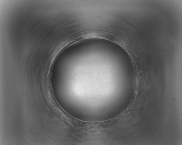 X0000062610289200512230927