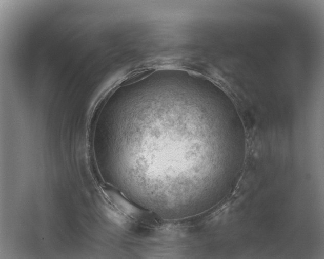 X0000062610293200512230927