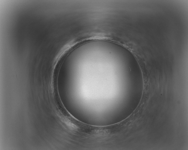 X0000062610296200512230927