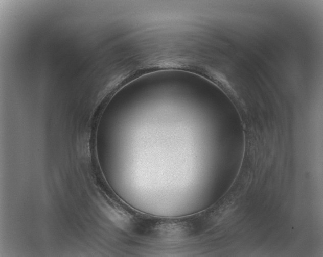 X0000062610299200512230927