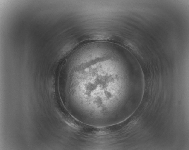 X0000062610303200512230927