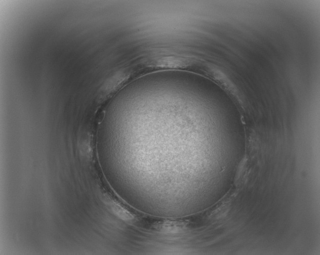 X0000062610305200512230927