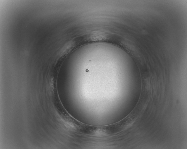 X0000062610308200512230927