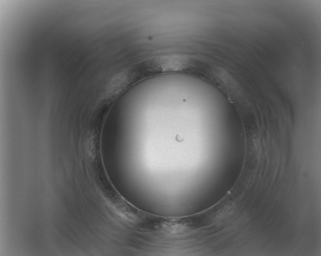 X0000062610311200512230927