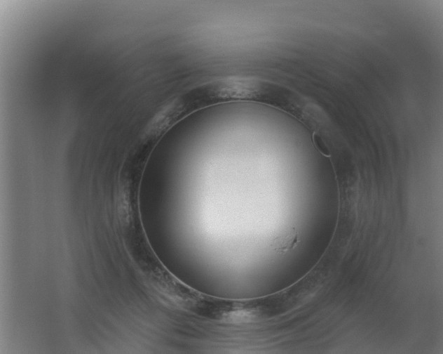 X0000062610312200512230927