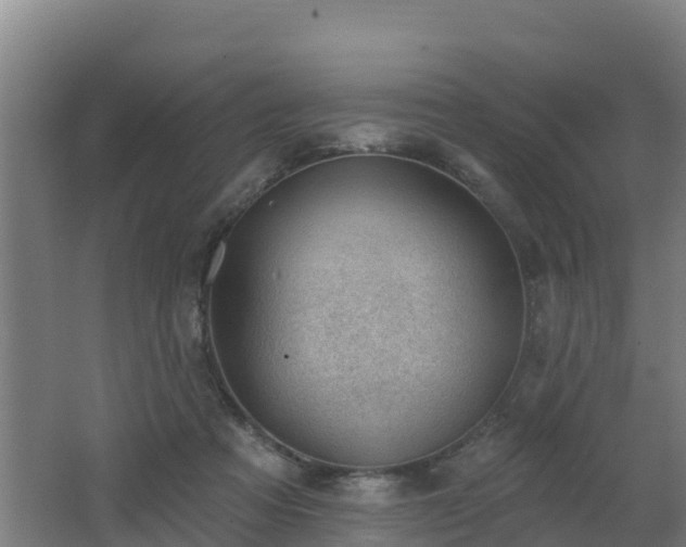 X0000062610313200512230927