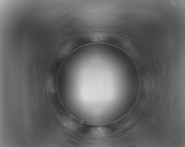 X0000062610316200512230927