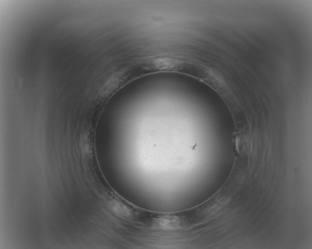 X0000062610317200512230927