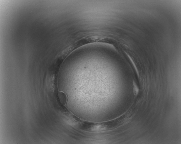 X0000062610319200512230927