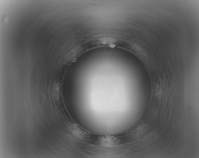 X0000062610321200512230927