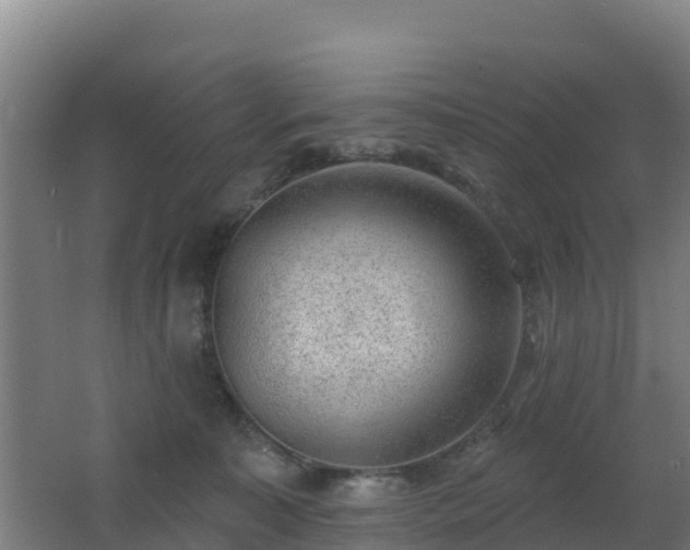 X0000062610323200512230927