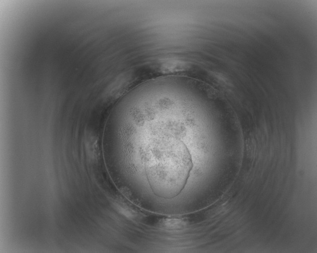 X0000062610327200512230926