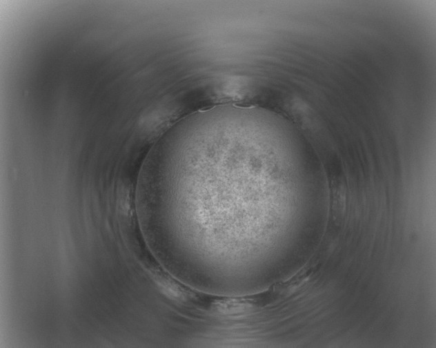 X0000062610331200512230926