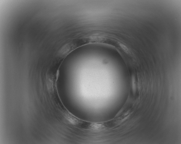 X0000062610333200512230926