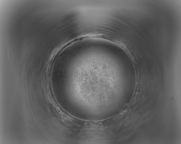 X0000062610337200512230925