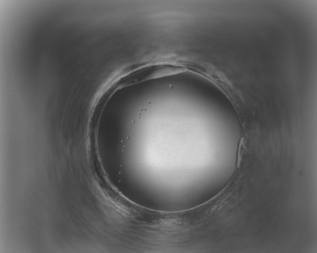 X0000062610344200512230926