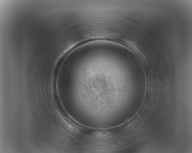 X0000062610346200512230926