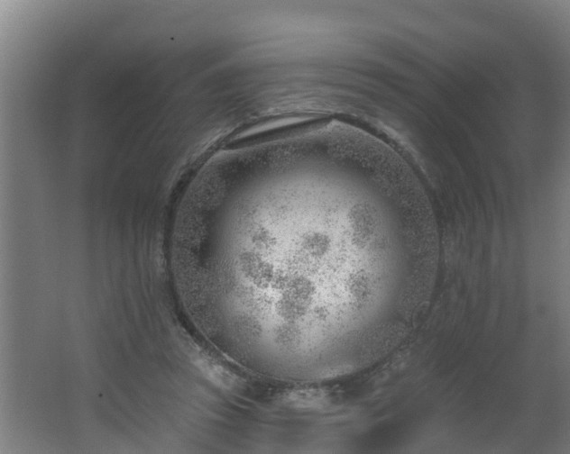 X0000062610353200512230926