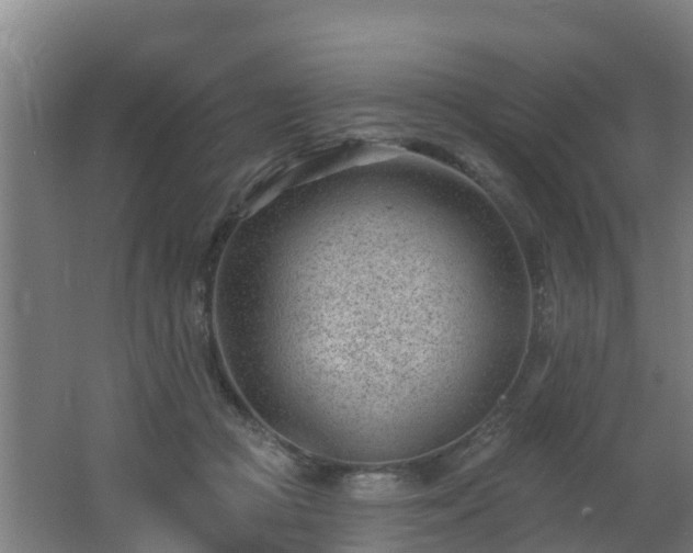 X0000062610361200512230926