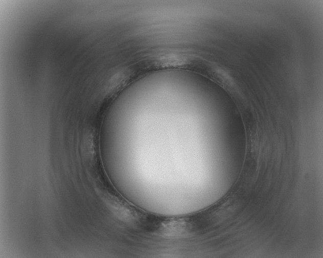 X0000062610362200512230926