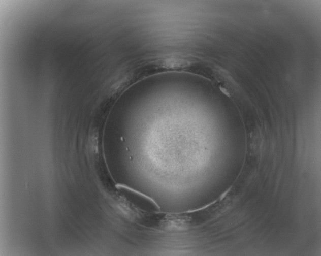 X0000062610368200512230926