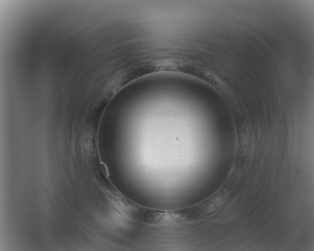 X0000062610379200512230926