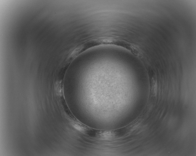 X0000062610383200512230926