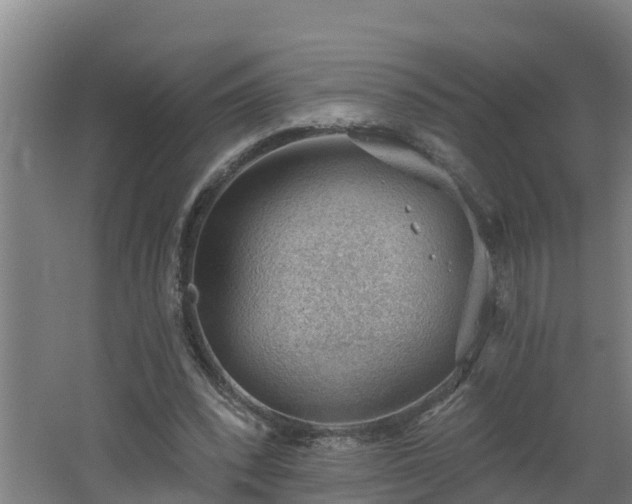 X0000062610392200512230925