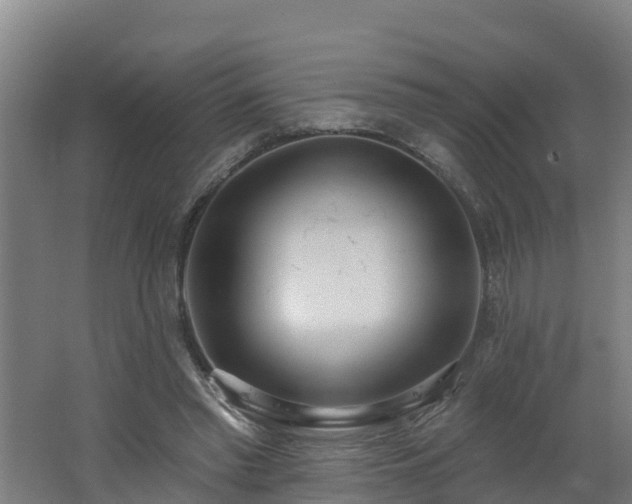 X0000062610397200512230925