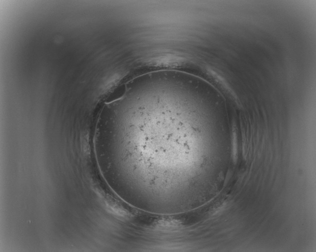 X0000062610403200512230925