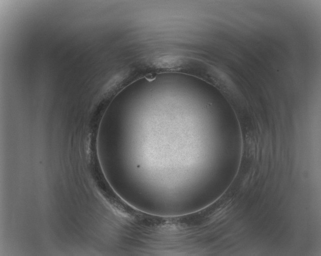 X0000062610404200512230925