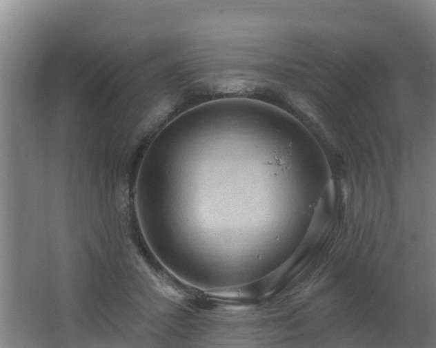 X0000062610407200512230925