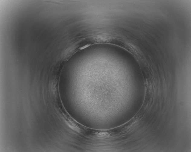 X0000062610409200512230925