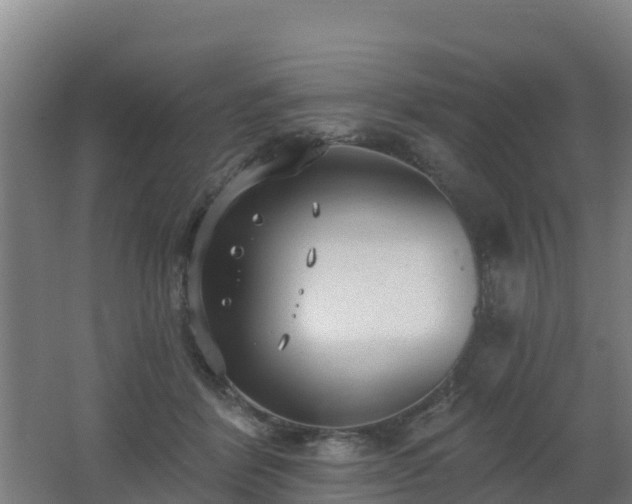 X0000062610412200512230925