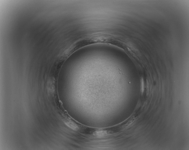 X0000062610413200512230925