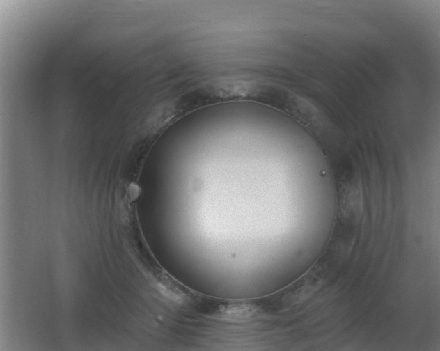 X0000062610414200512230925