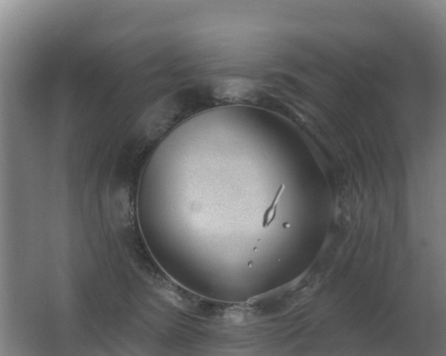 X0000062610420200512230925