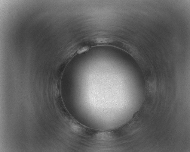 X0000062610422200512230925