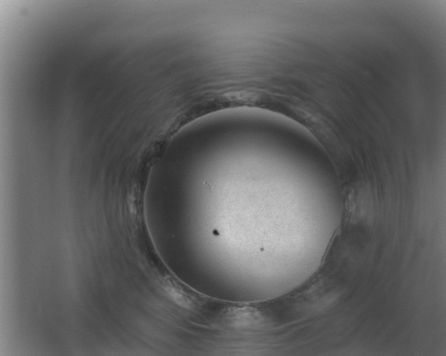 X0000062610424200512230925