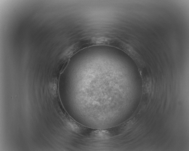 X0000062610427200512230925