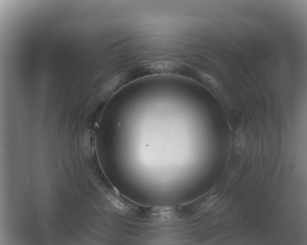 X0000062610428200512230925