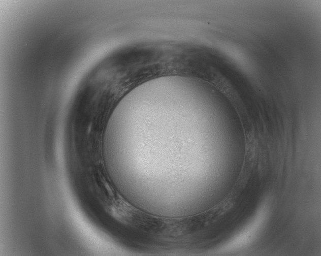 X0000062610431200512230925