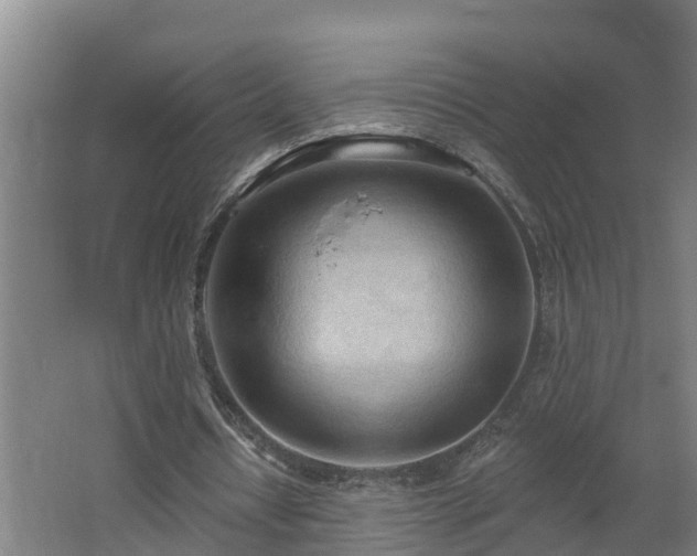 X0000062610434200512230924