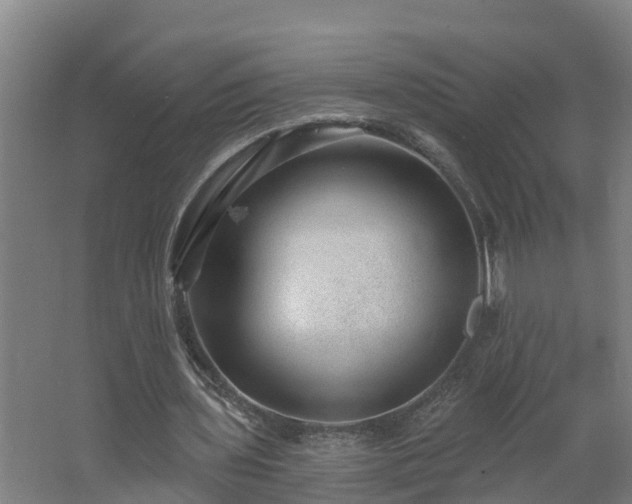 X0000062610435200512230924